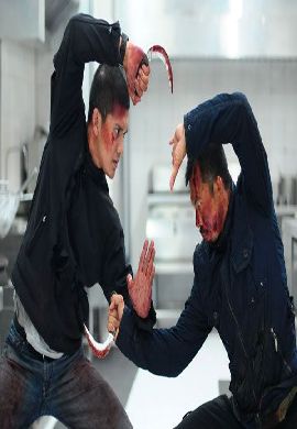 The Raid 2 Berandal