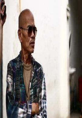 หมาแก่ อันตราย