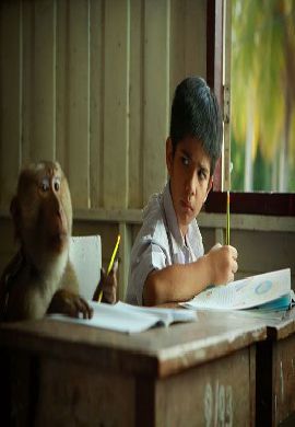 กะปิ ลิงจ๋อไม่หลอกจ้าว