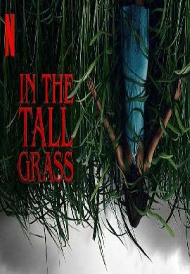 In The Tall Grass