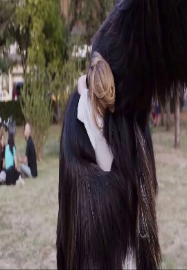 Toni Erdman