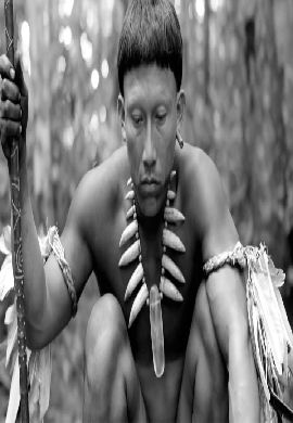 Embrace of the Serpent